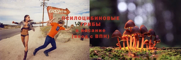 соль курить ск Аркадак