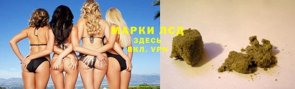 ГАЛЛЮЦИНОГЕННЫЕ ГРИБЫ Алексеевка
