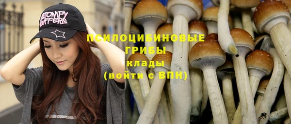 кокс Алзамай