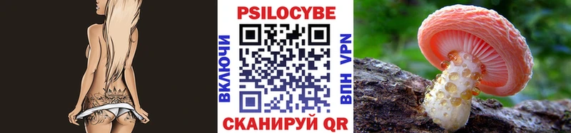 гидра как зайти  Баксан  Псилоцибиновые грибы мухоморы 